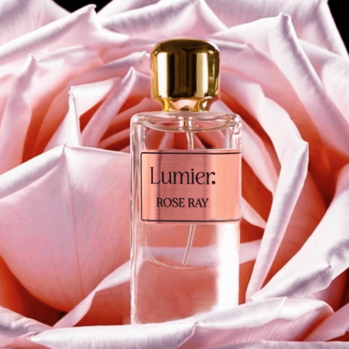 Luxury Perfume 10
